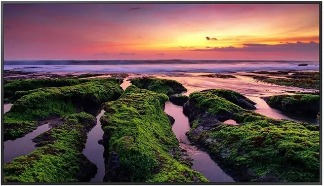 Samsung QB75B 75-Inch 4K UHD Display with Wi-Fi and Bluetooth 5.0