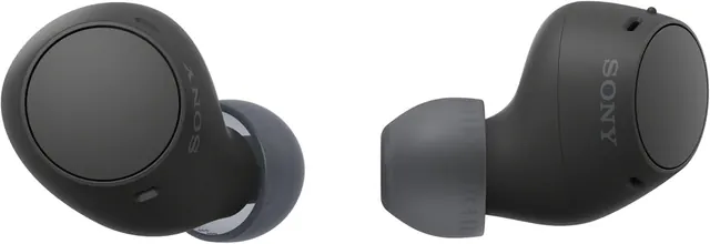 Sony WF-C510 Truly Wireless In-Ear Earbuds with 22-Hour Battery, Multipoint and IPX4