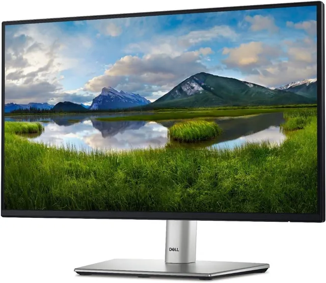 Dell P2225H: 21.5-inch Full HD, 100 Hz, LED Monitor